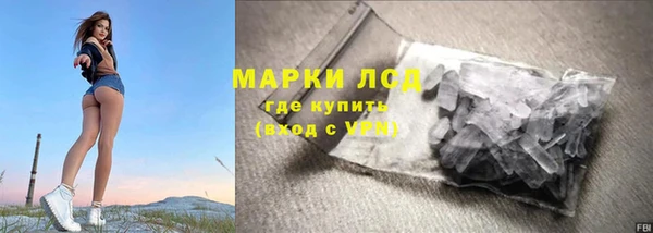 гидра Михайловка