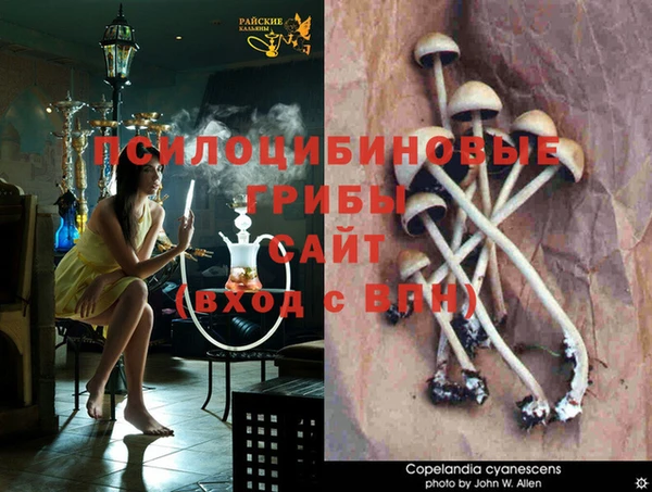 мяу мяу кристалл Михайлов