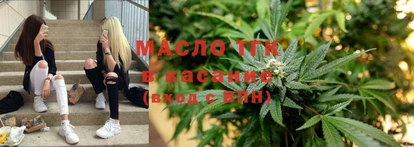 гидра Михайловка