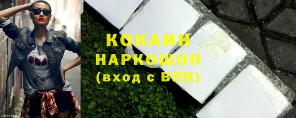 гидра Михайловка
